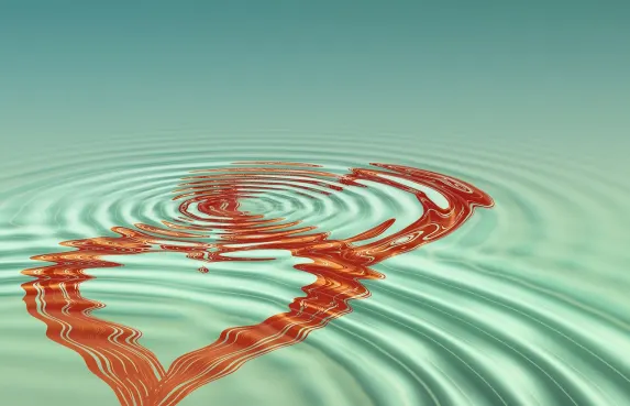 Casino High Bet Supporto